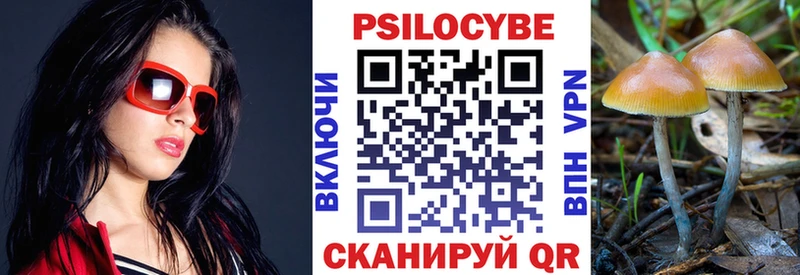 Псилоцибиновые грибы Cubensis  где купить   Калтан 
